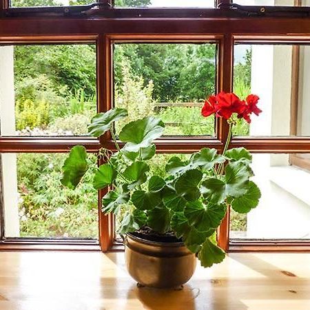 Hawthorn Farm Cottage Curry 외부 사진