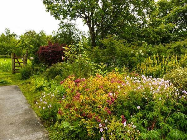 Hawthorn Farm Cottage Curry 외부 사진