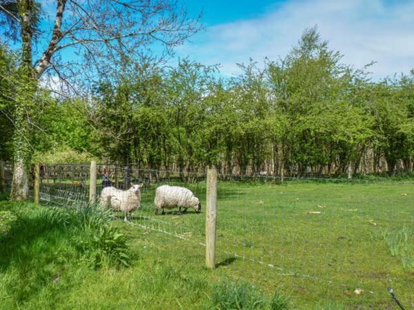 Hawthorn Farm Cottage Curry 외부 사진